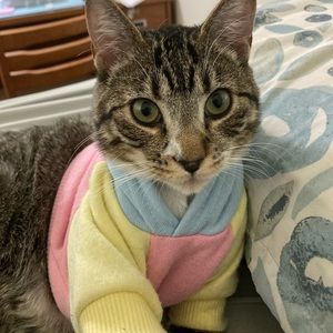 Meet your Posher, Vanessa